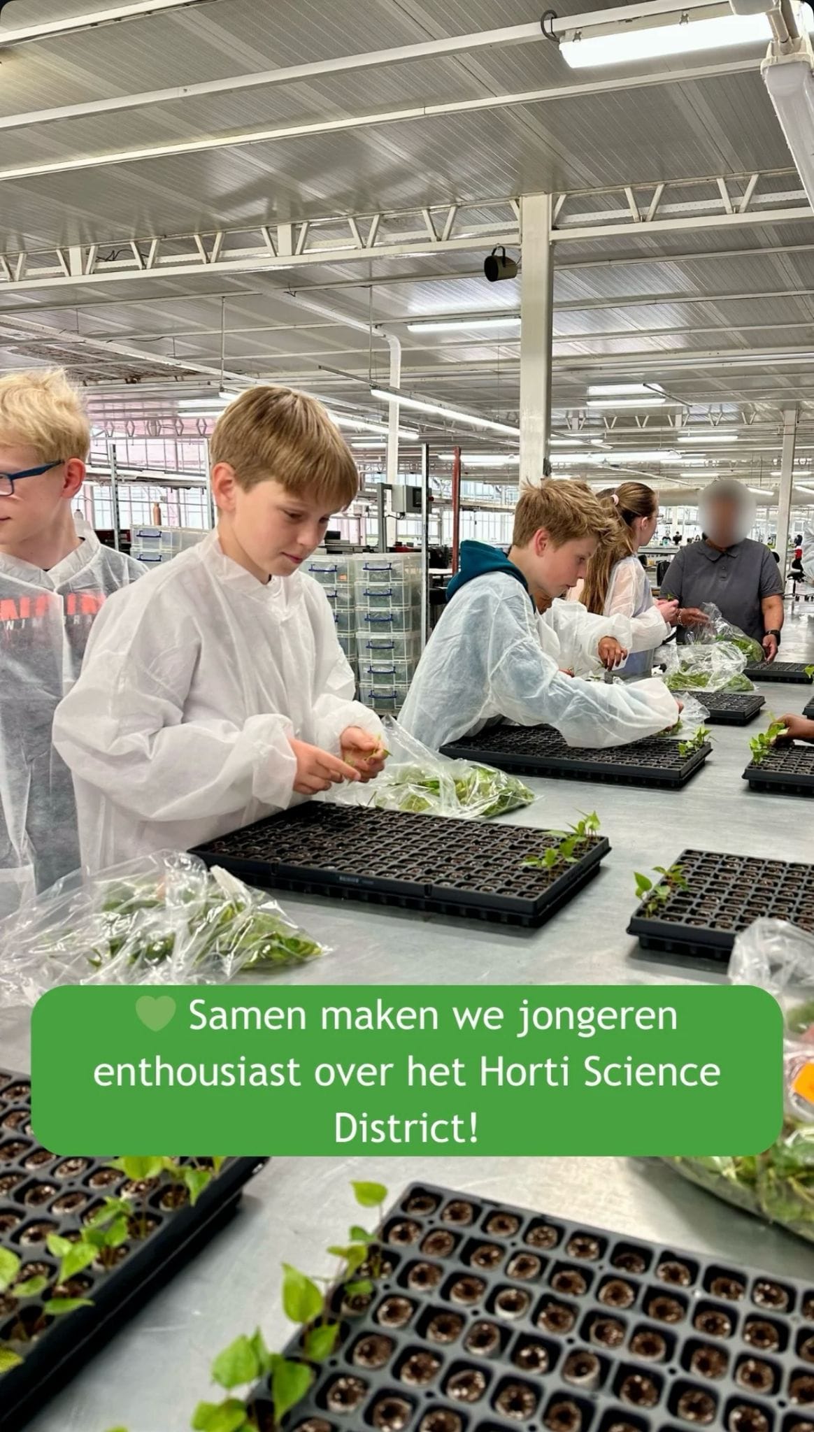 Groep 7 bezoekt de glastuinbouw